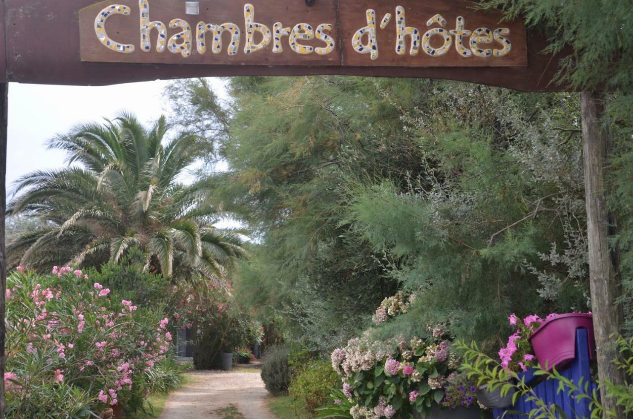 Mazet du Maréchal Ferrant Panzió Saintes-Maries-de-la-Mer Kültér fotó